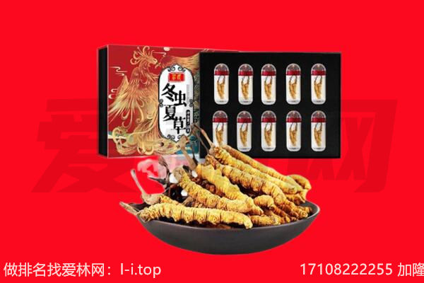 平顶山舞钢市回收虫草.jpg
